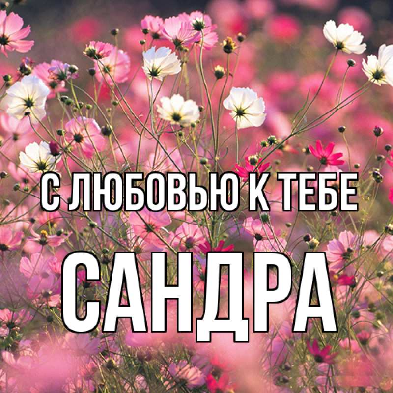 Картинка С любовью к тебе, Сандра