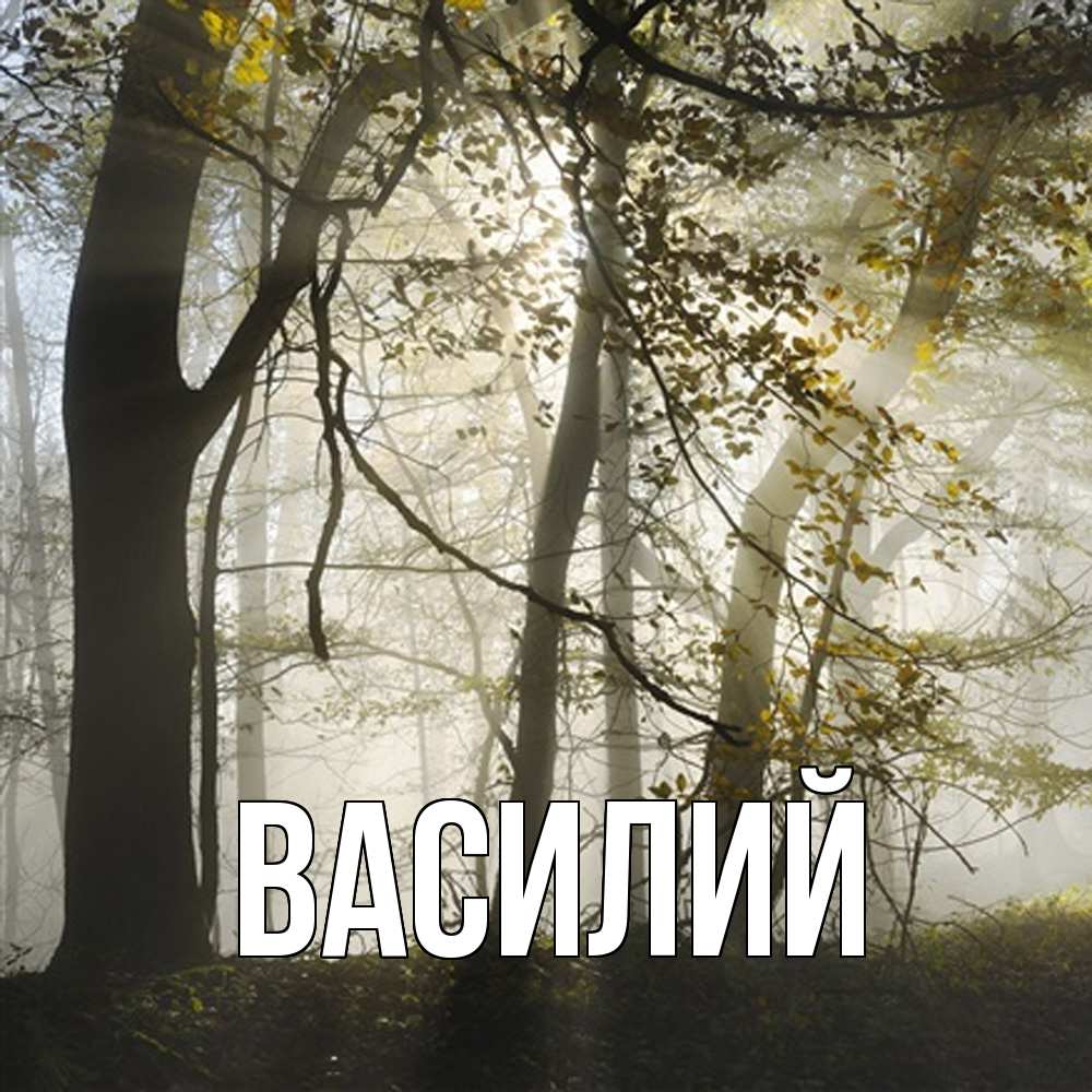 Открытка  с именем. Василий, Главная  