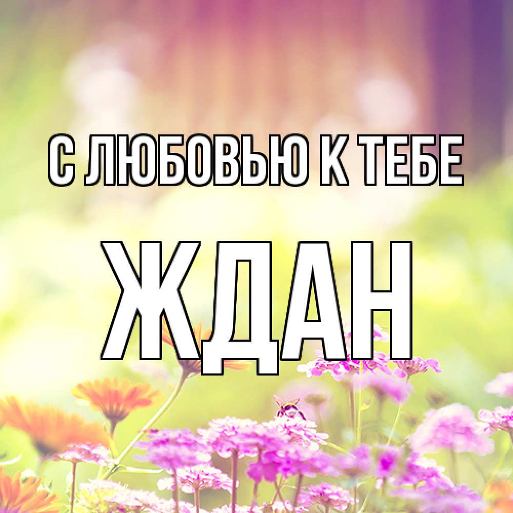 Открытка  с именем. Ждан, С любовью к тебе  
