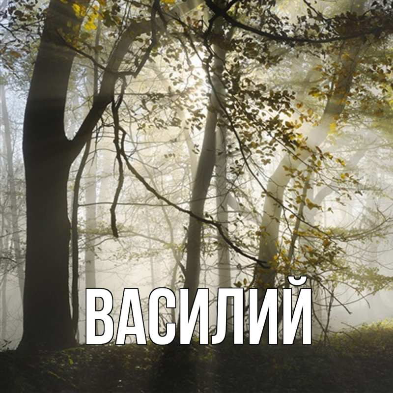 Картинка  с именем , Василий