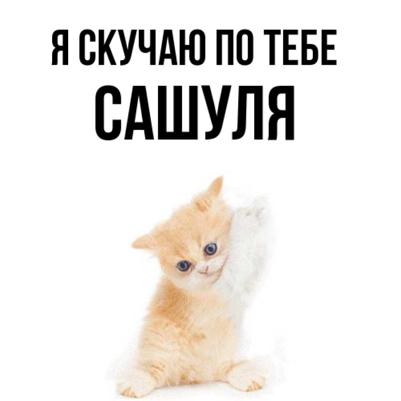 Картинка Я скучаю по тебе, Сашуля