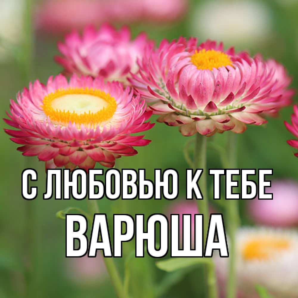 Открытка  с именем. Варюша, С любовью к тебе  