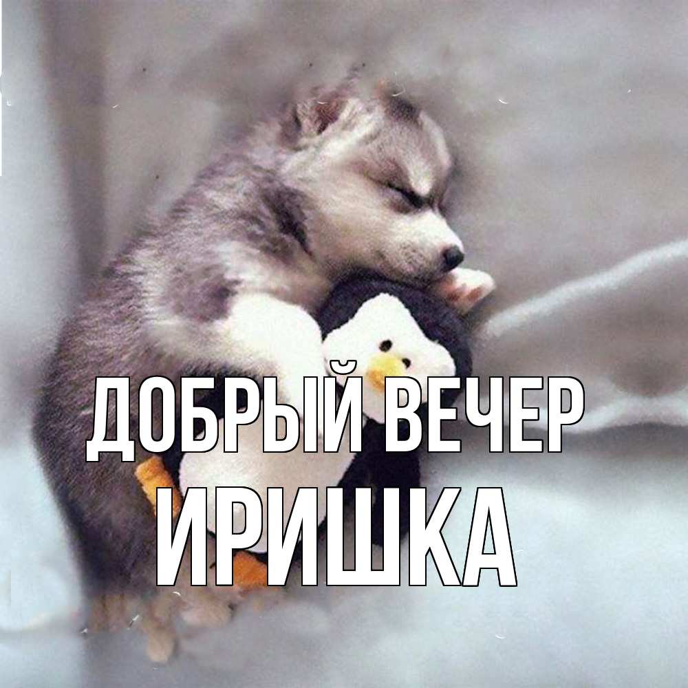 Открытка  с именем. Иришка, Добрый вечер  