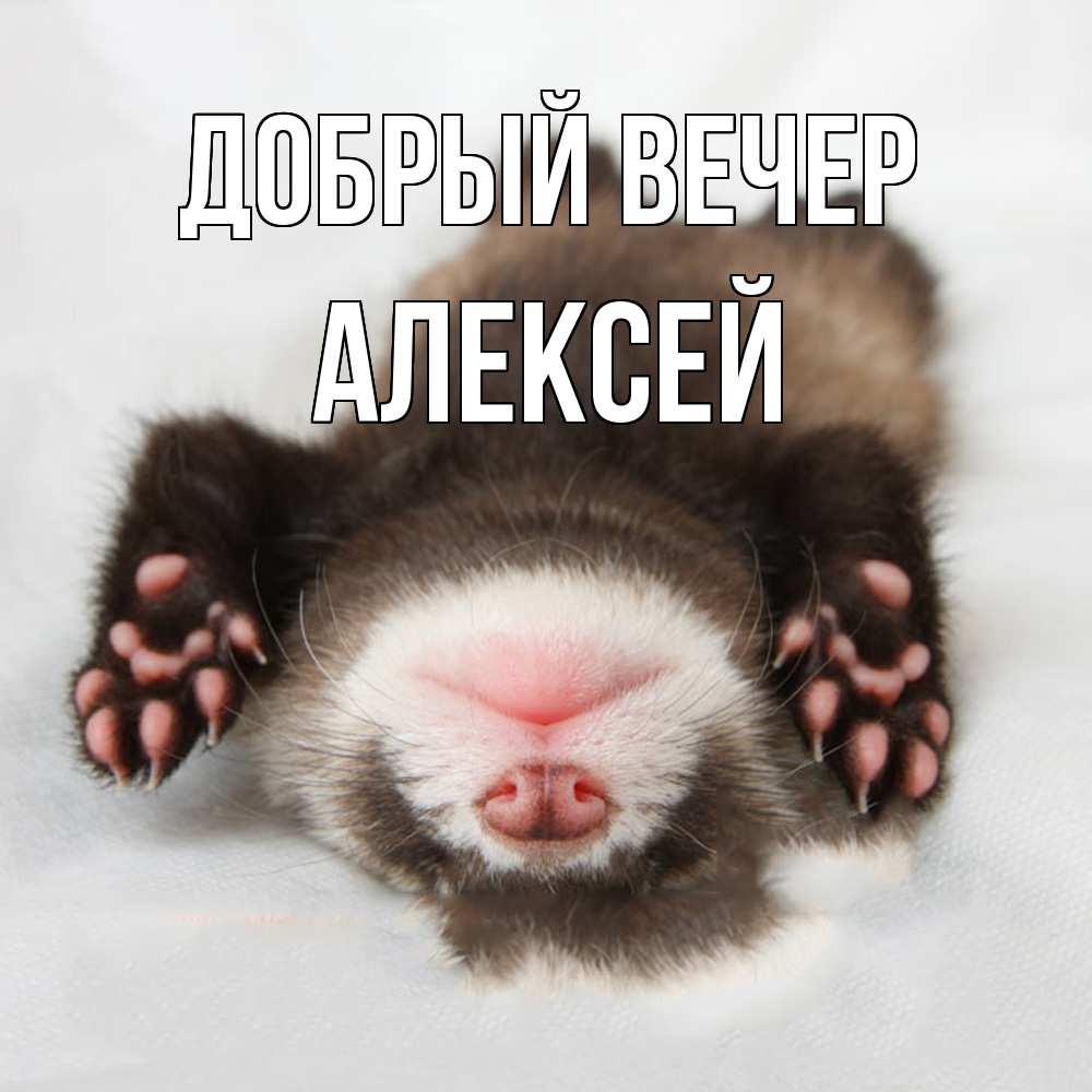Открытка  с именем. Алексей, Добрый вечер  