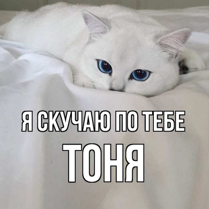 Картинка Я скучаю по тебе, Тоня