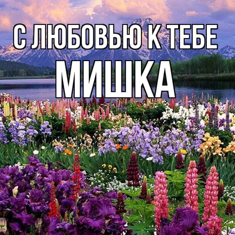 Картинка С любовью к тебе, Мишка