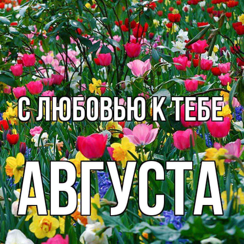 Открытка  с именем. Августа, С любовью к тебе  