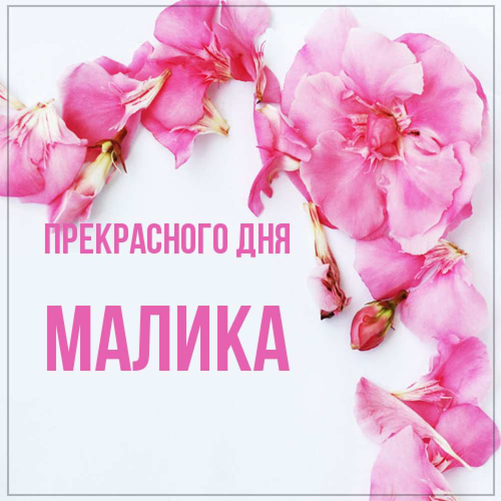 Открытка  с именем. Малика, Прекрасного дня  