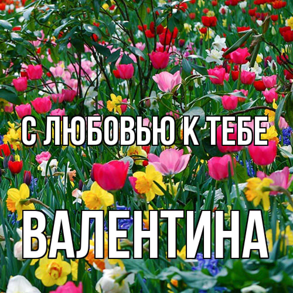 Открытка  с именем. валентина, С любовью к тебе  