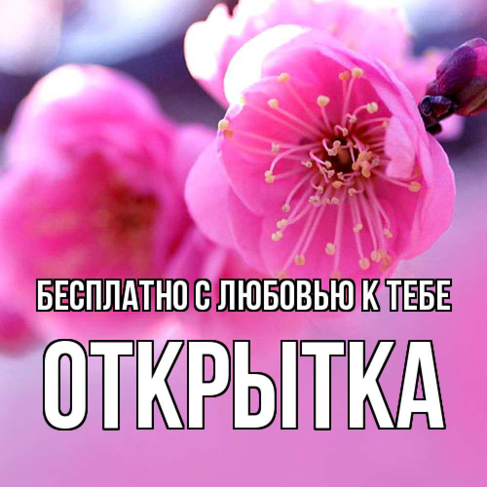 Открытка  с именем. открытка, С любовью к тебе  