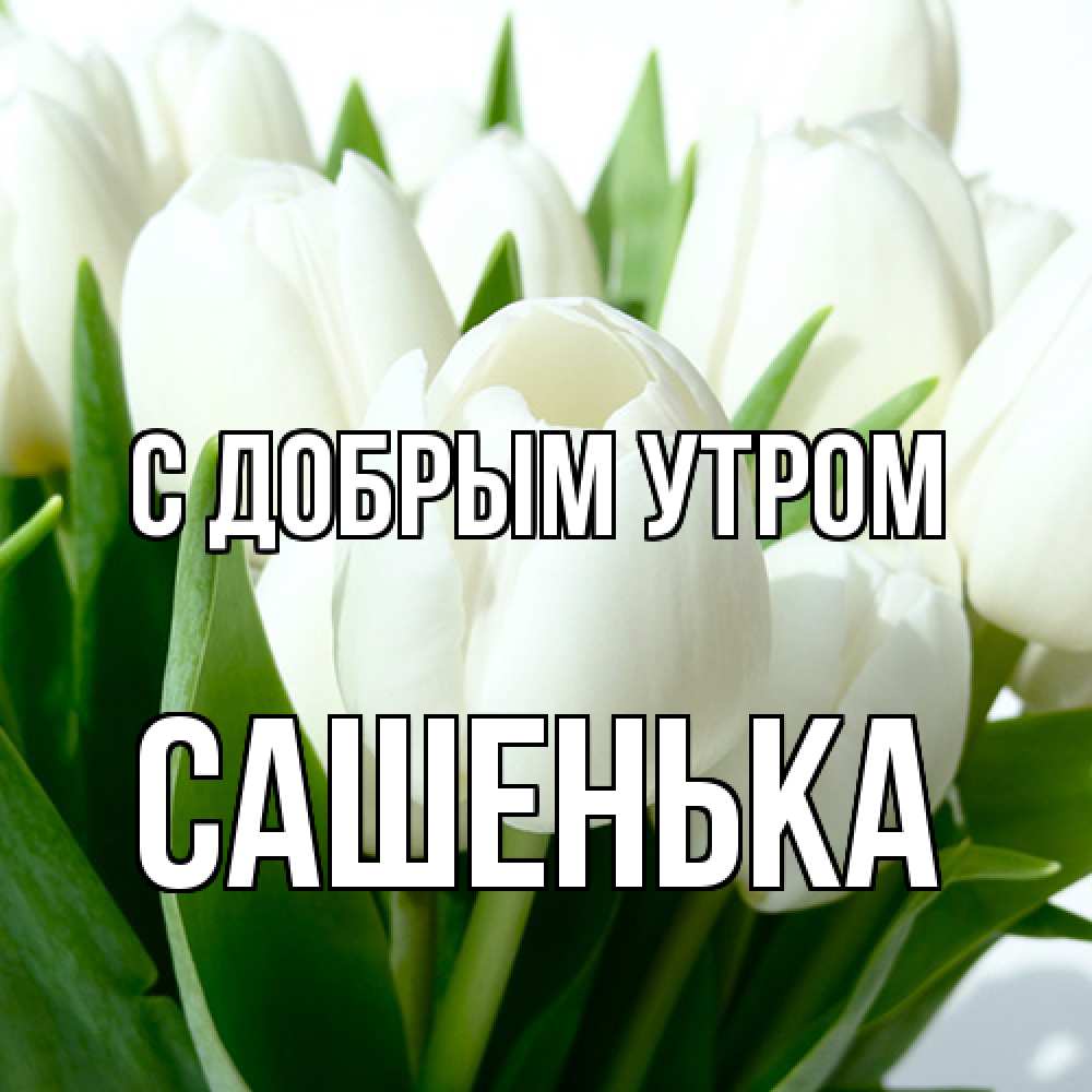 Открытка  с именем. САШЕНЬКА, С добрым утром  