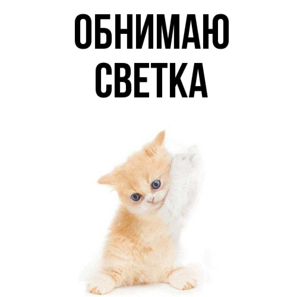 Открытка  с именем. Светка, Обнимаю  