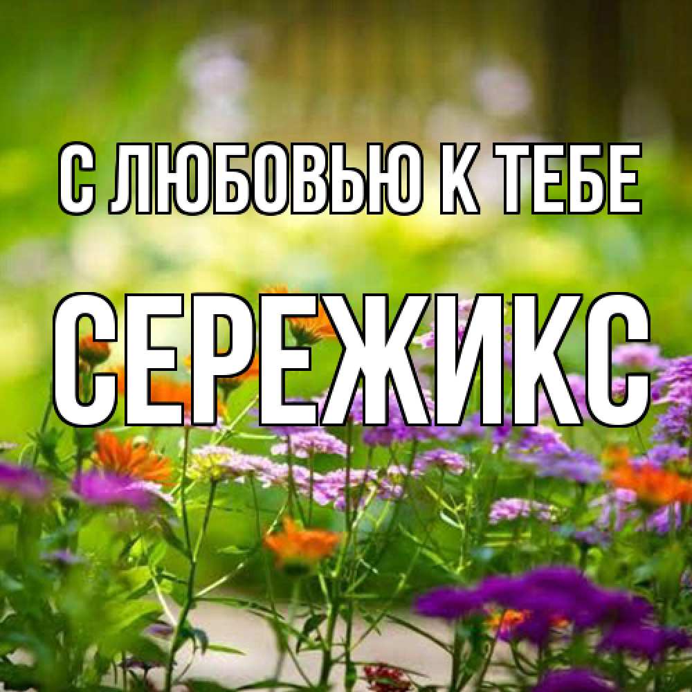 Открытка  с именем. Сережикс, С любовью к тебе  