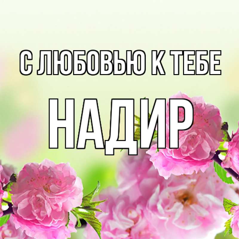 Картинка С любовью к тебе, Надир