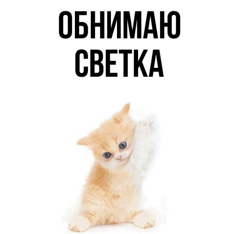Картинка Обнимаю, Светка