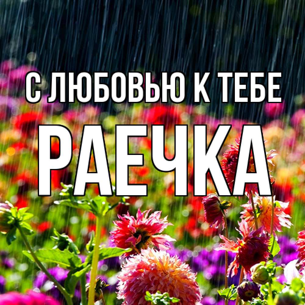 Открытка  с именем. Раечка, С любовью к тебе  