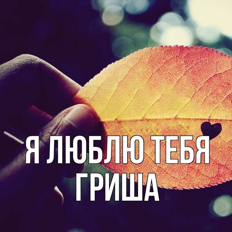 Картинка Я люблю тебя, Гриша