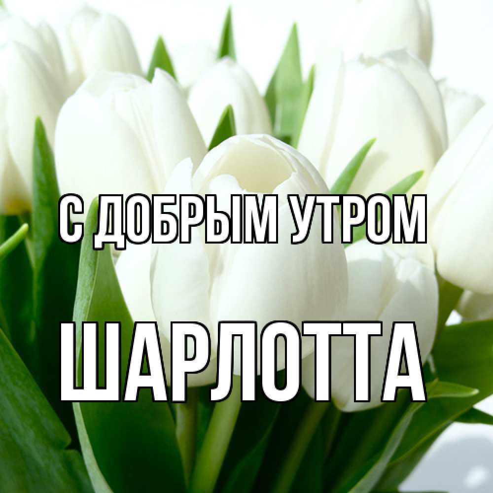 Открытка  с именем. Шарлотта, С добрым утром  