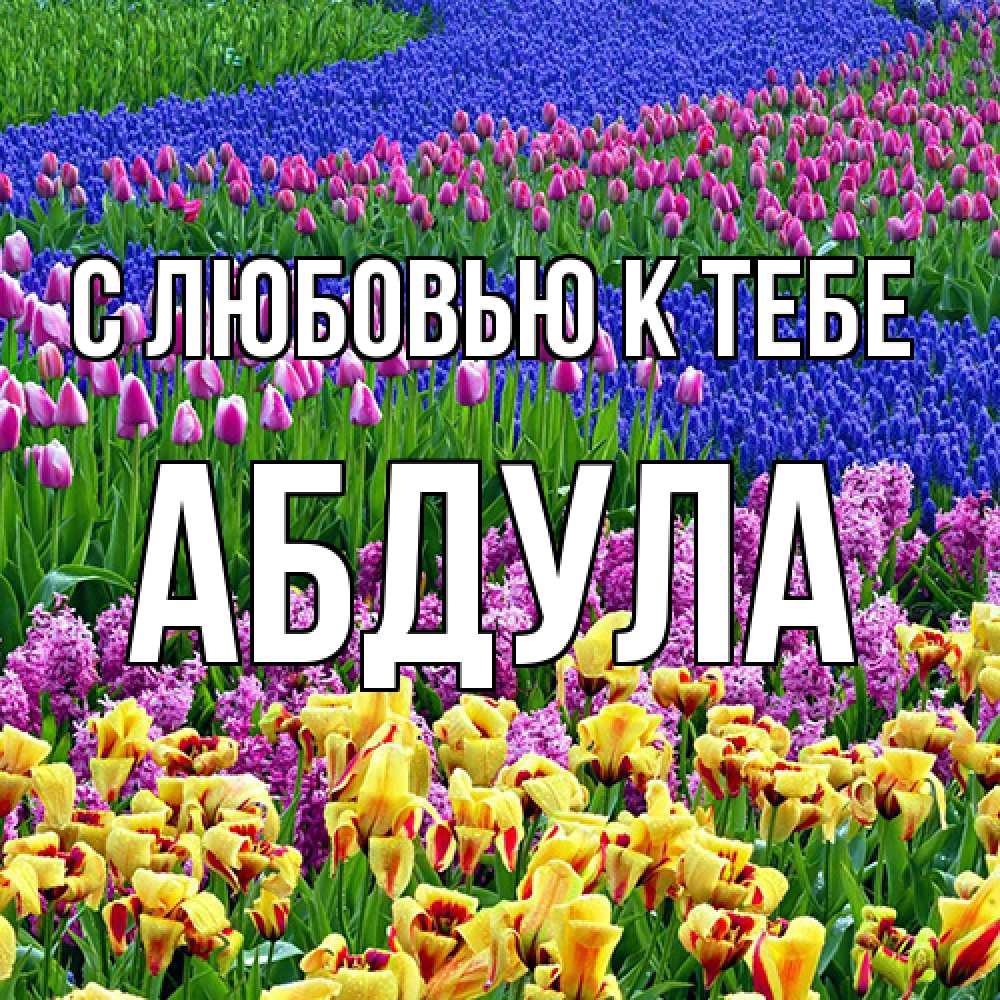 Открытка  с именем. Абдула, С любовью к тебе  