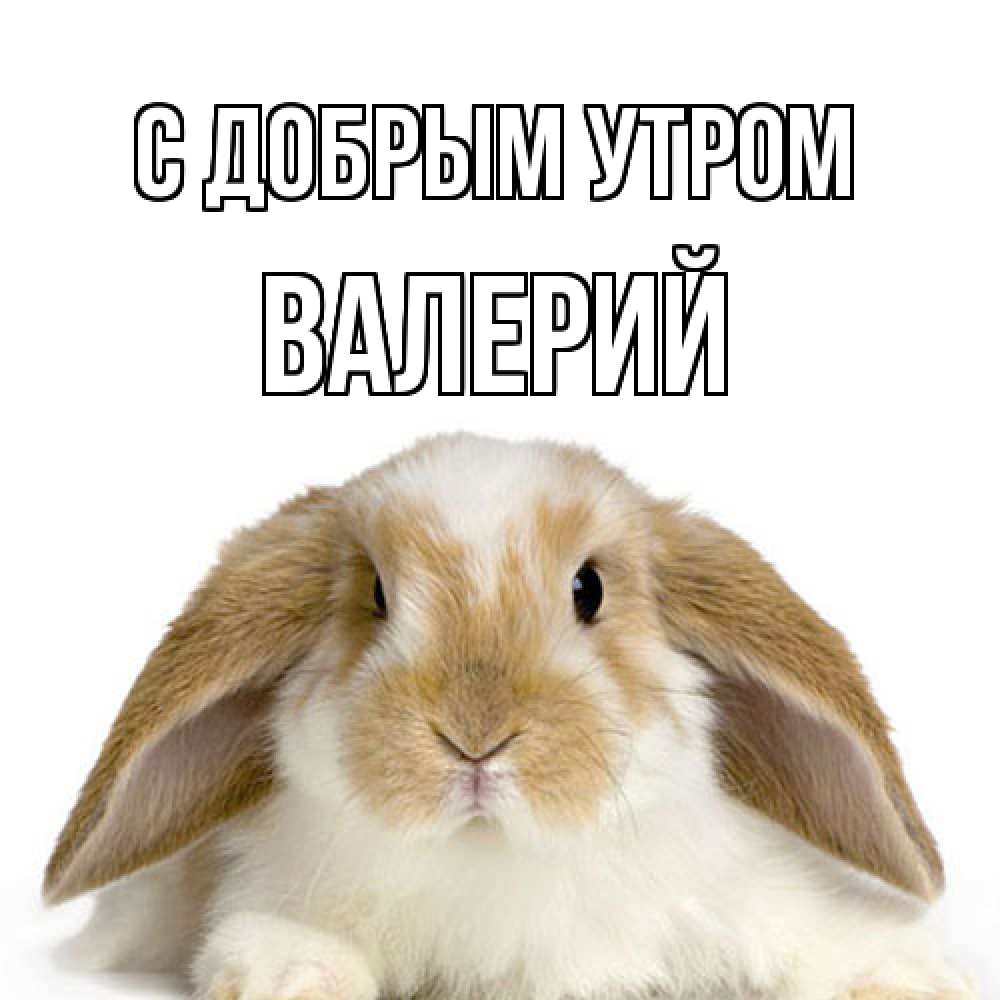 Открытка  с именем. Валерий, С добрым утром  