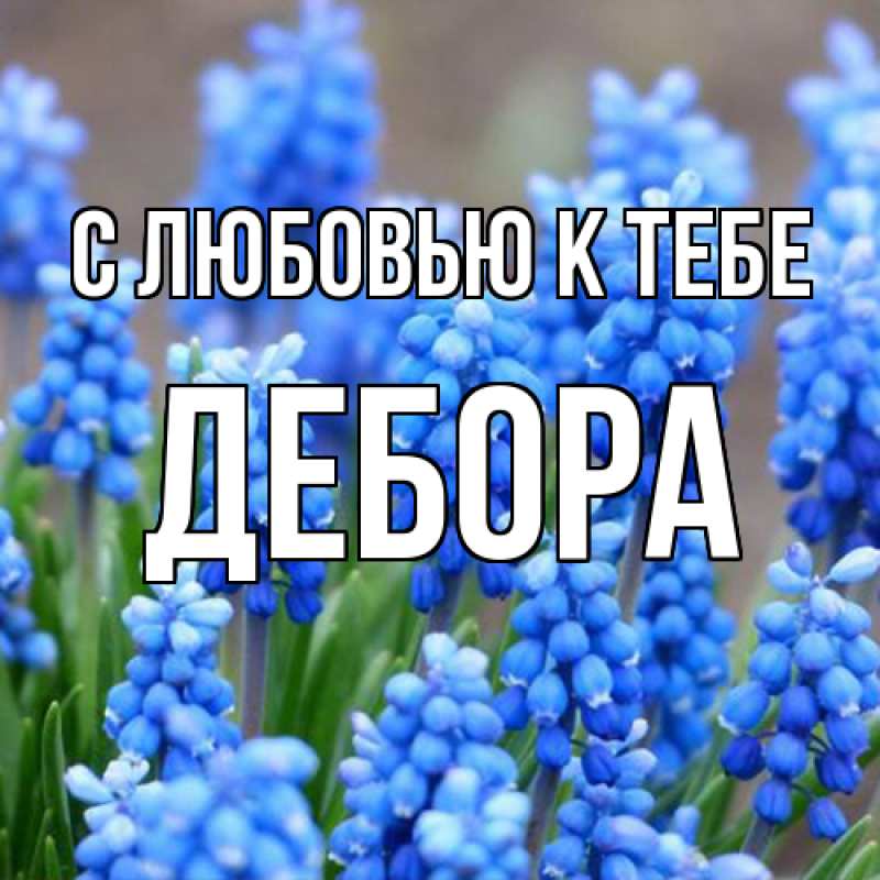 Картинка С любовью к тебе, Дебора