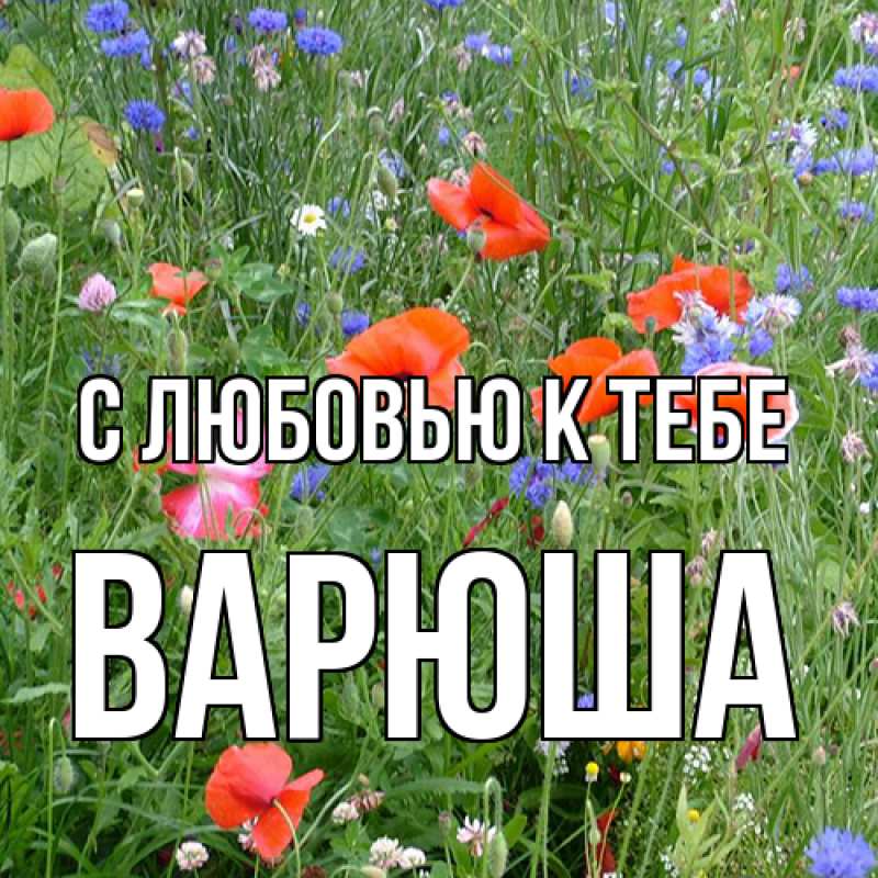 Картинка С любовью к тебе, Варюша
