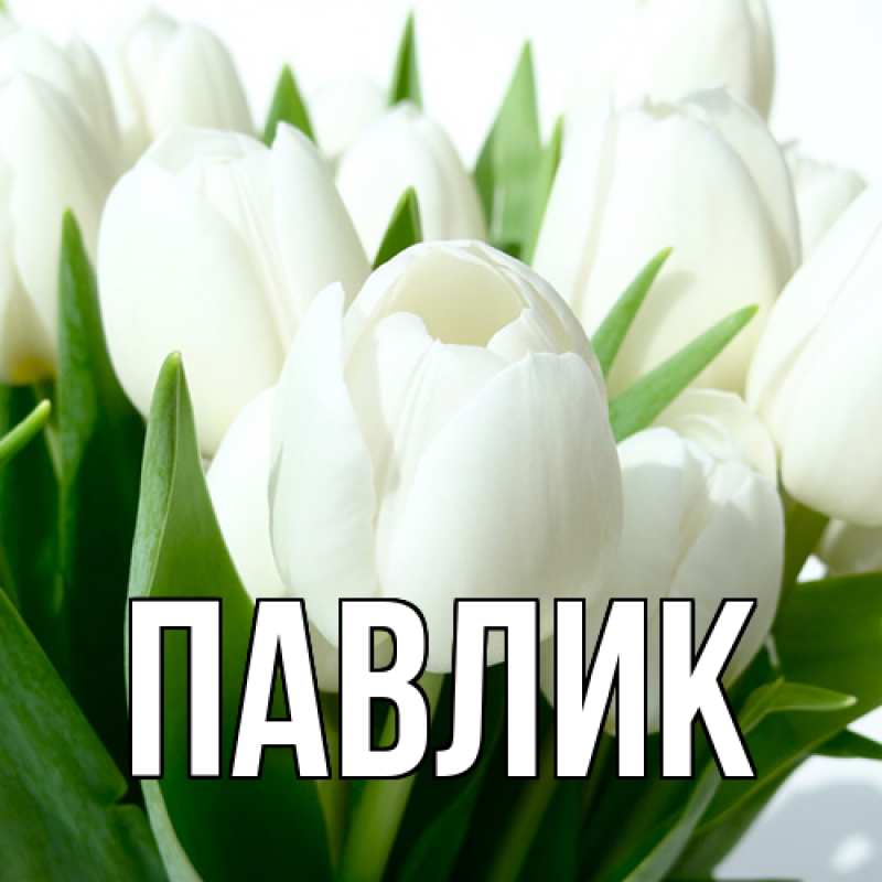 Картинка  с именем , Павлик