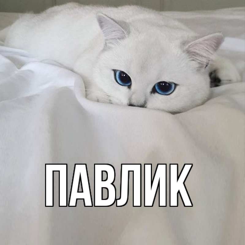 Картинка  с именем , Павлик