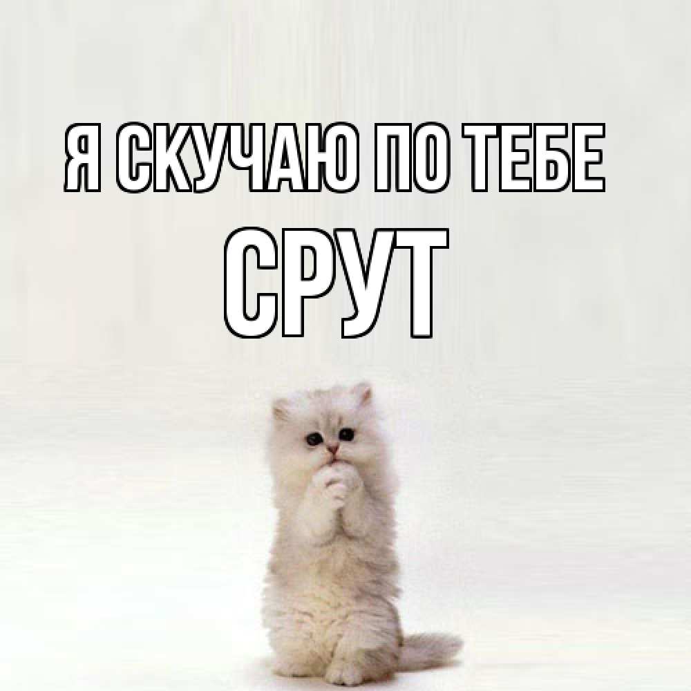 Открытка  с именем. срут, Я скучаю по тебе  