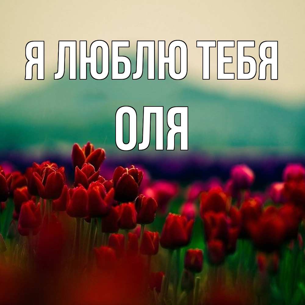 Открытка  с именем. Оля, Я люблю тебя  