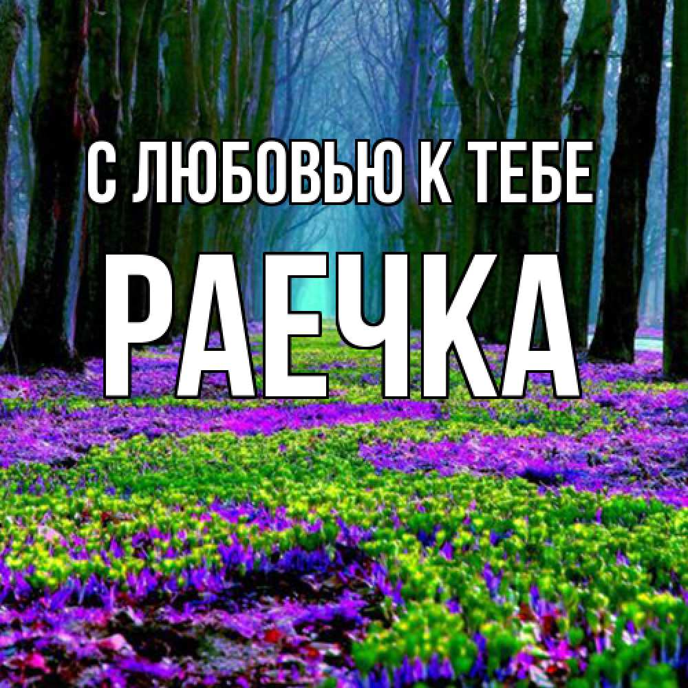 Открытка  с именем. Раечка, С любовью к тебе  