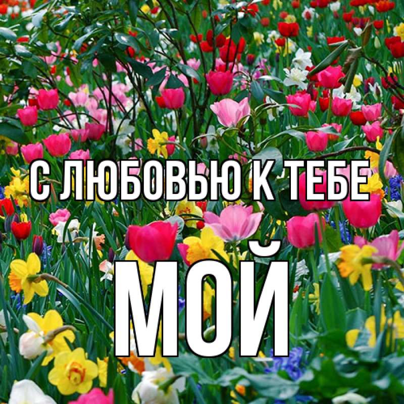 Картинка С любовью к тебе, Мой