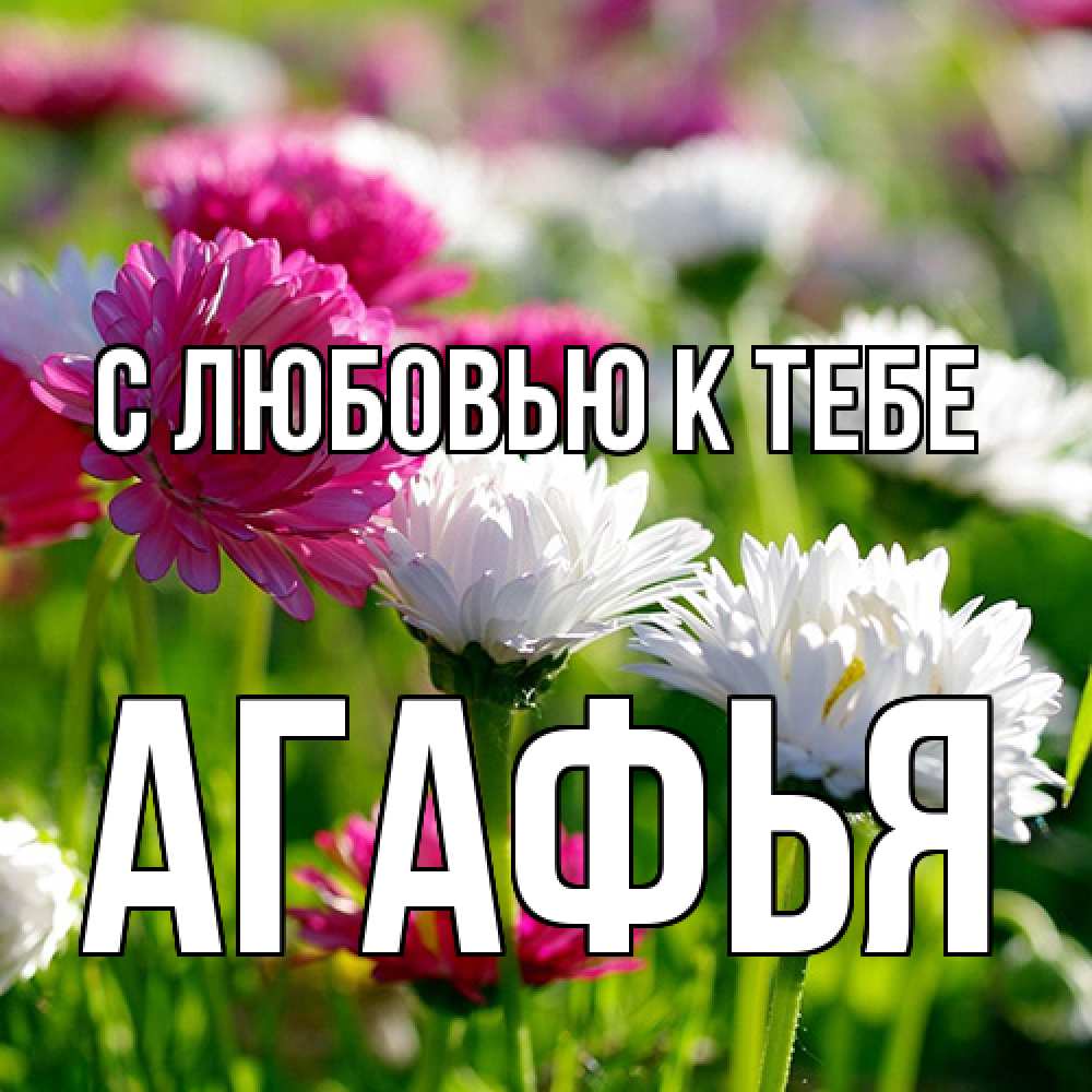 Открытка  с именем. Агафья, С любовью к тебе  