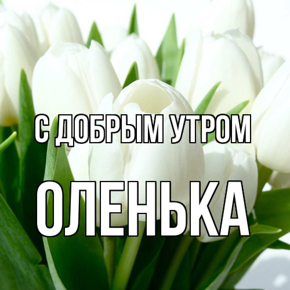 Открытка  с именем. Оленька, С добрым утром  