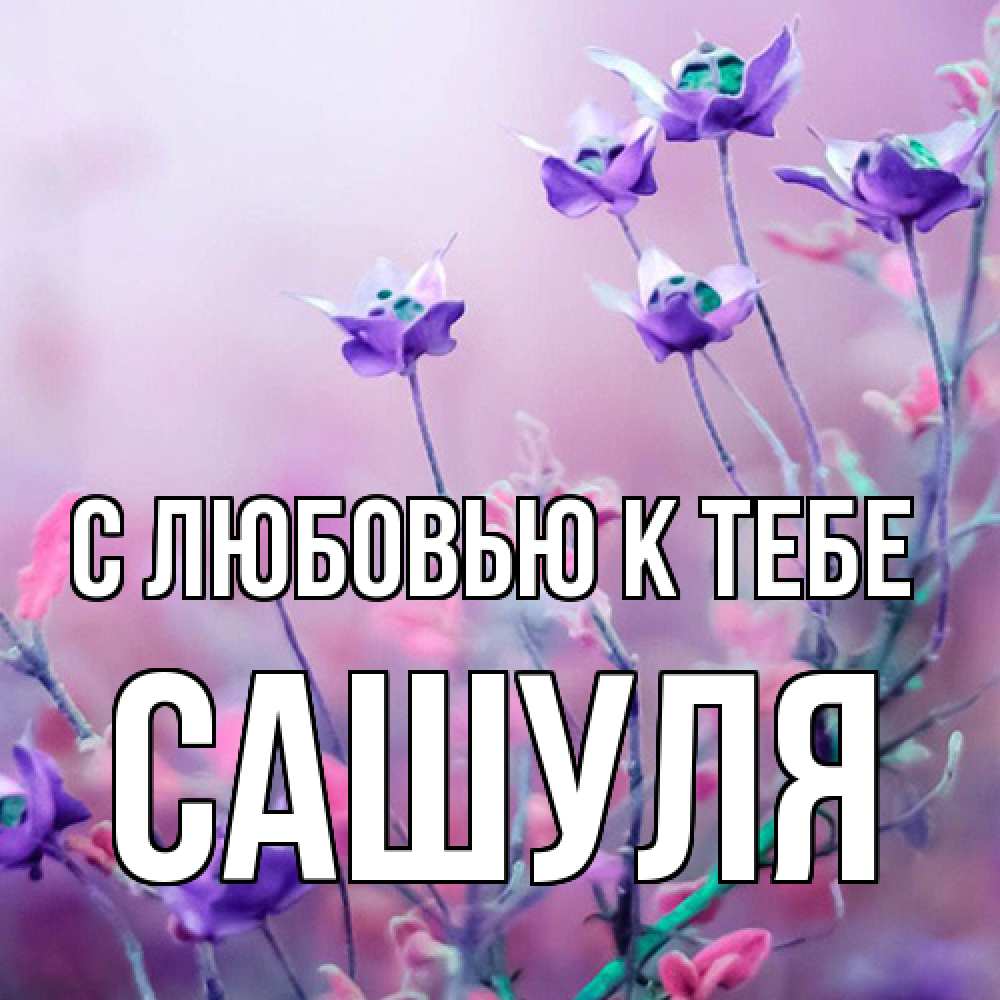 Открытка  с именем. Сашуля, С любовью к тебе  