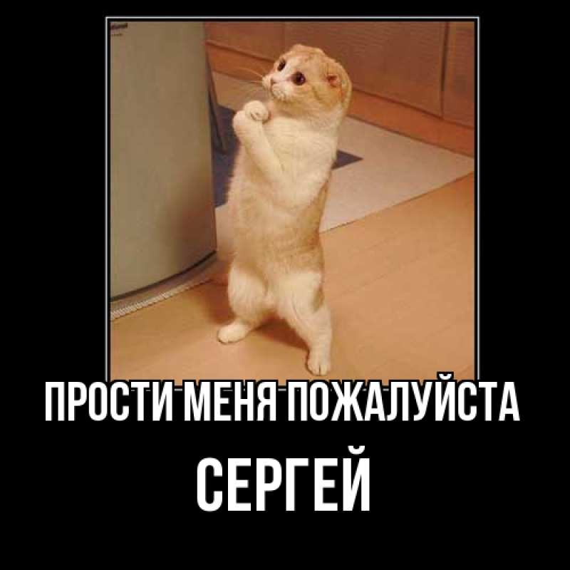 Картинка Прости меня пожалуйста, сергей