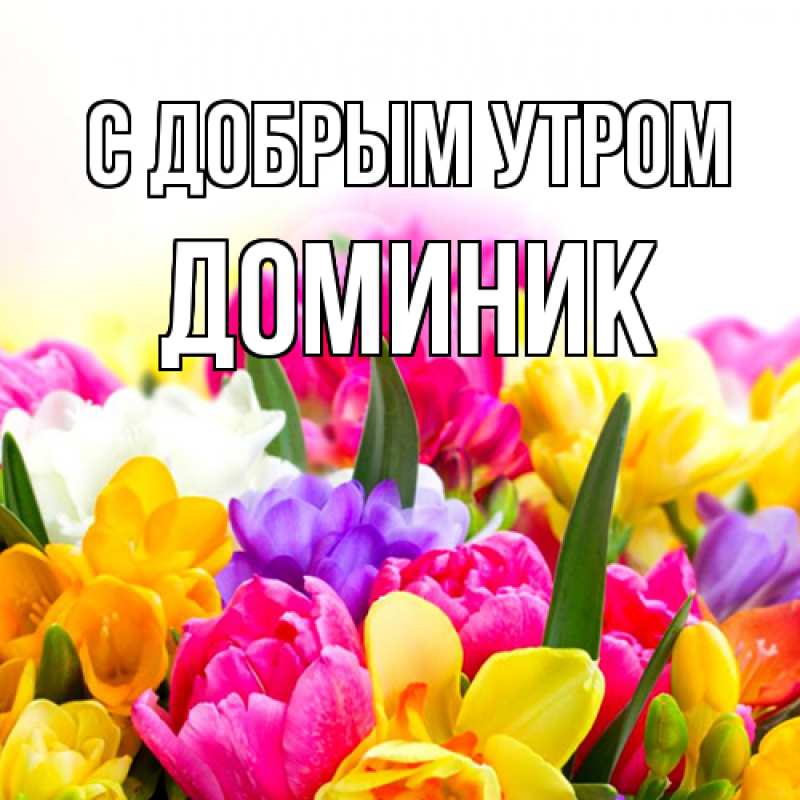 Картинка С добрым утром, Доминик