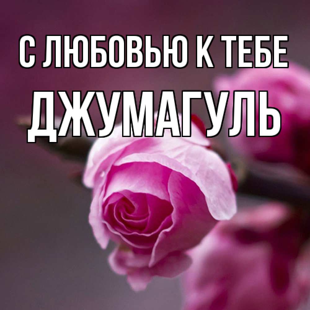 Открытка  с именем. Джумагуль, С любовью к тебе  