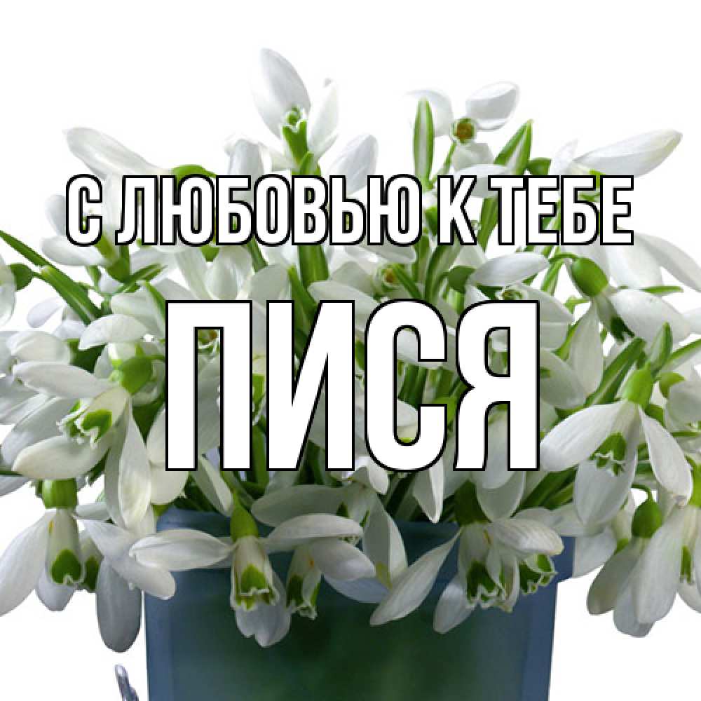 Открытка  с именем. Пися, С любовью к тебе  