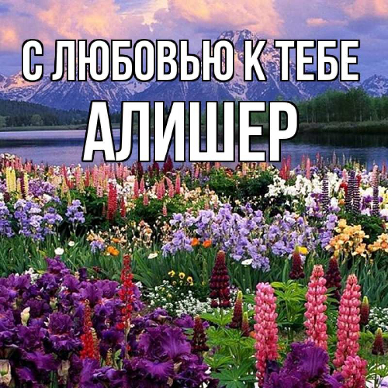 Картинка С любовью к тебе, Алишер