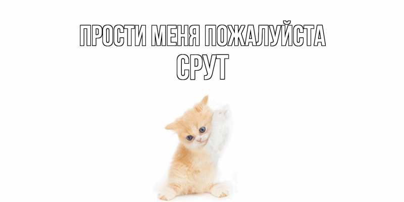 Картинка Прости меня пожалуйста, срут
