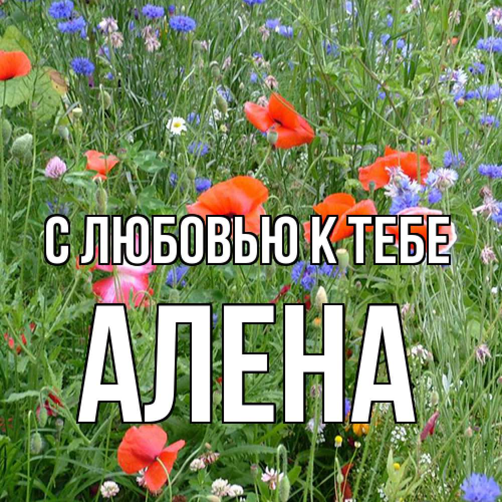 Открытка  с именем. Алена, С любовью к тебе  
