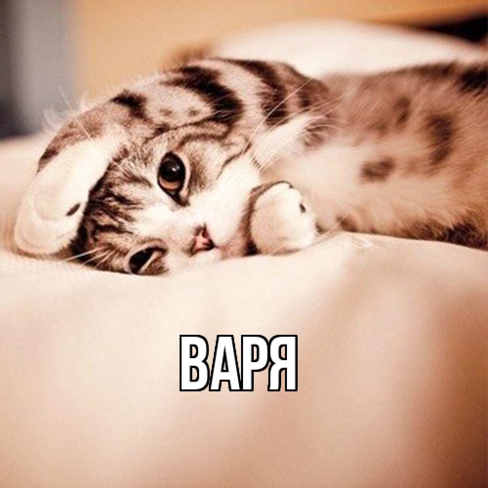 Открытка  с именем. варя, Главная  