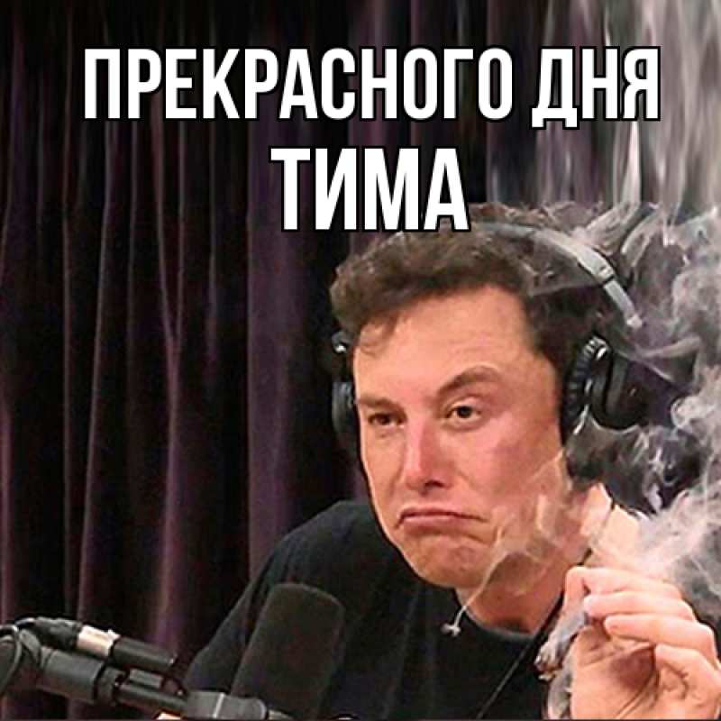 Картинка Прекрасного дня, Тима
