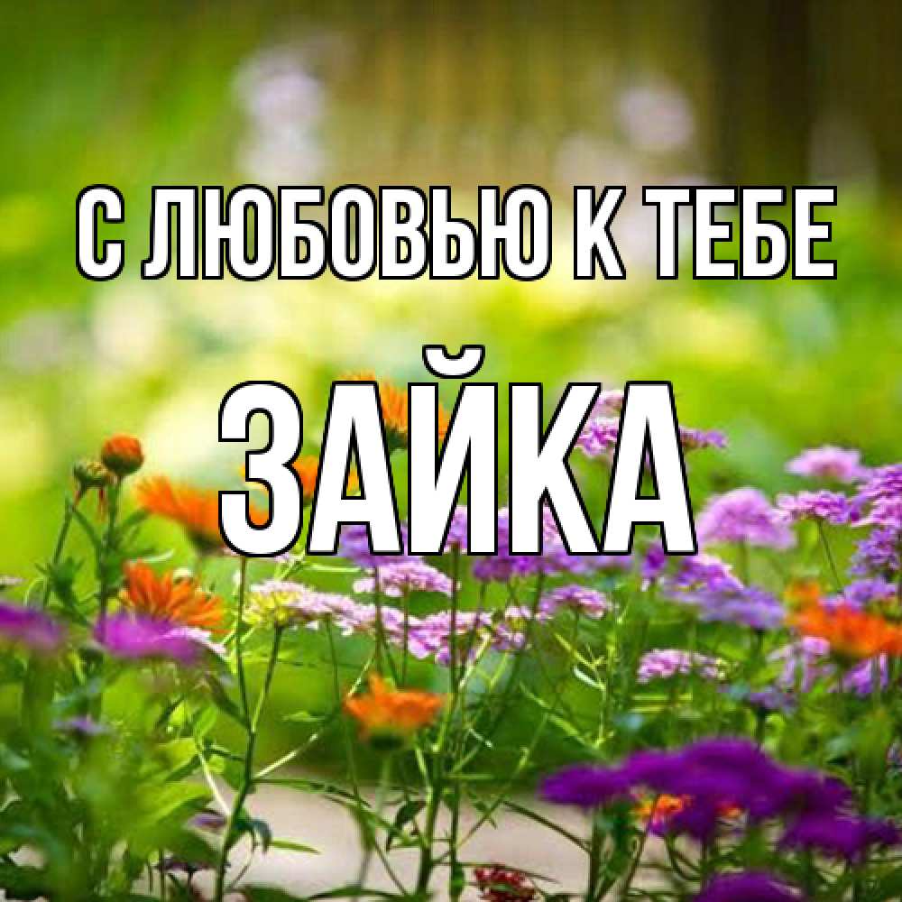 Открытка  с именем. Зайка, С любовью к тебе  