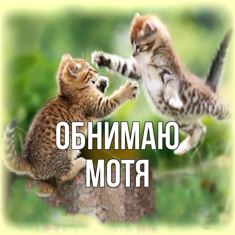 Картинка Обнимаю, Мотя