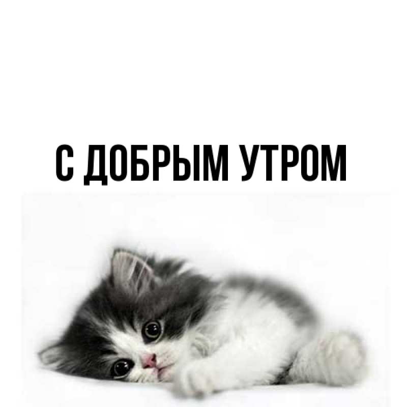 Картинка С добрым утром, 