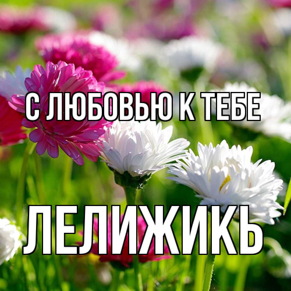 Открытка  с именем. Лелижикь, С любовью к тебе  