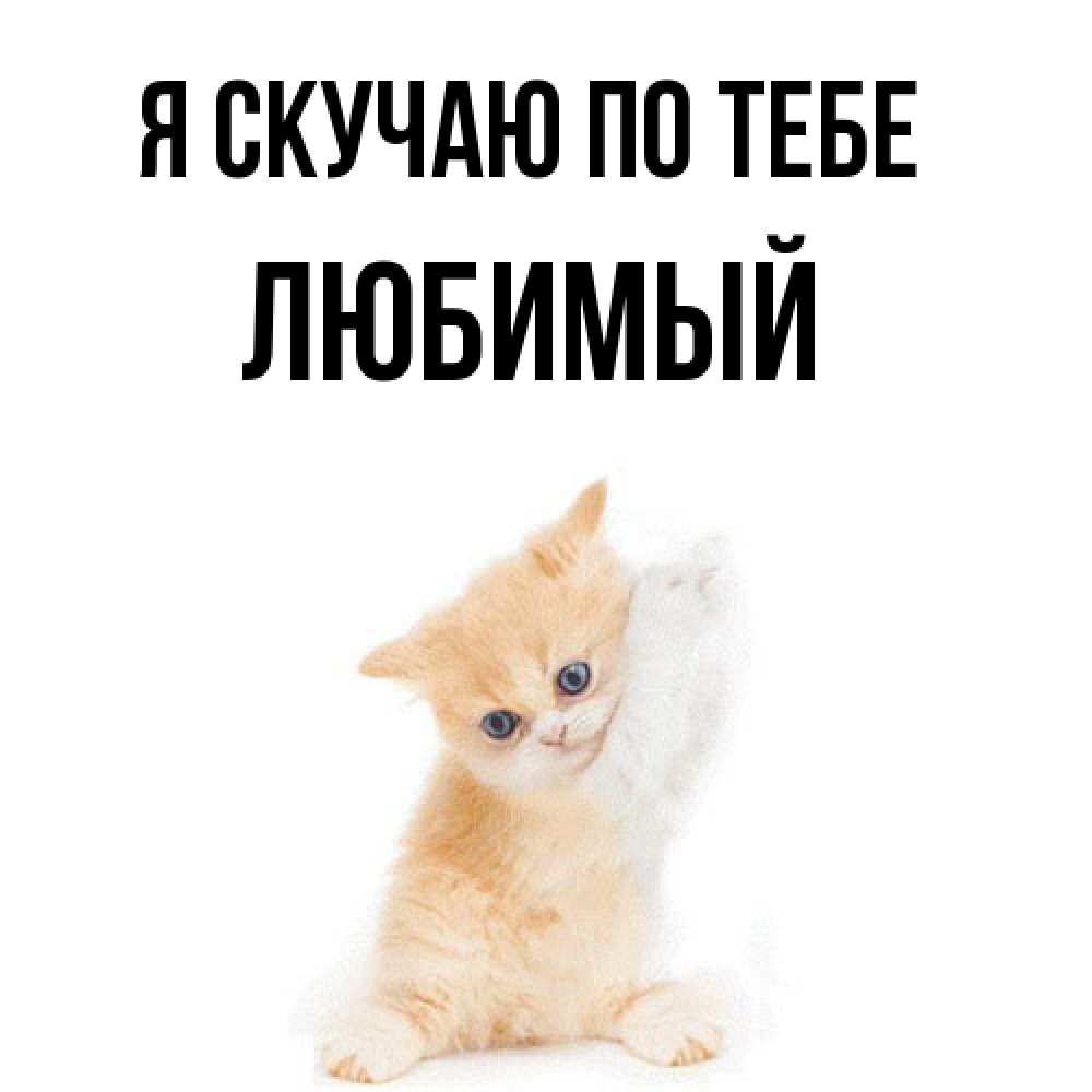 Открытка  с именем. Любимый, Я скучаю по тебе  