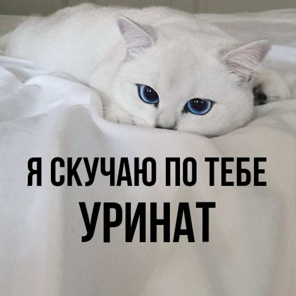 Открытка  с именем. уРинат, Я скучаю по тебе  